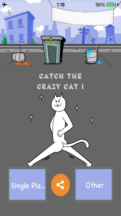 Catch The Crazy Cat !