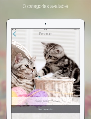 Cat Relax: A musical atmosphere for relaxation or stimulation of your cat. Have fun watching your cats react to the music composed for them iPad screenshot 3 - Entertainment app