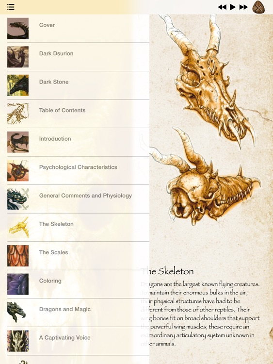 The Book of the Dragon screenshot-4