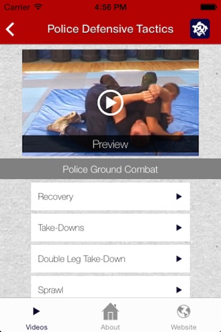 Police Defensive Tactics screenshot 4