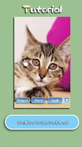Game screenshot Aha-Experience Landscapes of the cat apk