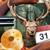 Solunar Calendar - Best Hunting Times and Feeding icon