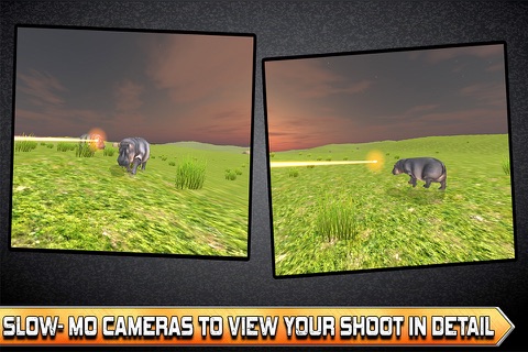 Hippo Shooter Free screenshot 2