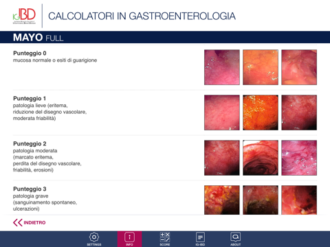 Screenshot #5 pour IGIBD Scores