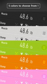 RecStyle Diet screenshot