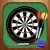 Darts Master 2014 - Pro King Player Sport Night Game 3D