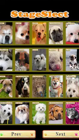 Game screenshot Brain Training - Aha dog picture book apk