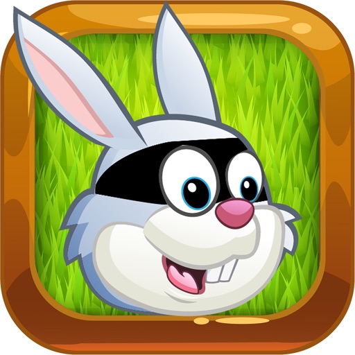 Robber Rabbit Run icon