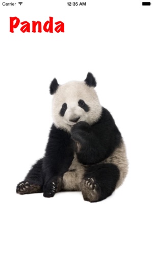 1st Animal Book