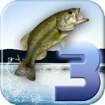 I Fishing 3 by Rocking Pocket Games App Positive Reviews