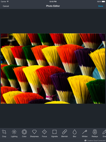 Camera Buddy Pro - Awesome Photo Effects Studio iPad screenshot 4 - Photo & Video app