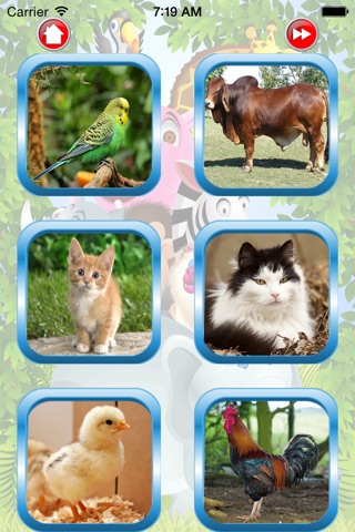 Pet Farm For Kid - Educate Your Child To Learn English In A Different Way screenshot 2