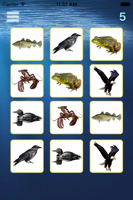 Elatikl Matching Game