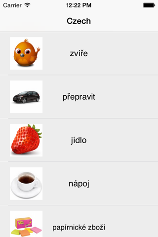 Learning Czech 400 Basic Words screenshot 3