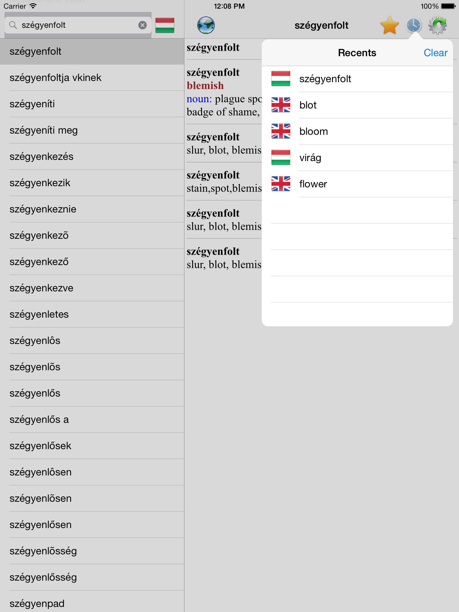 English Hungarian best dictionary translator -Angol Magyar legjobb szótár fordító screenshot 9