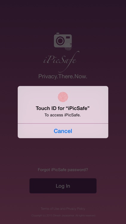 iPicSafe