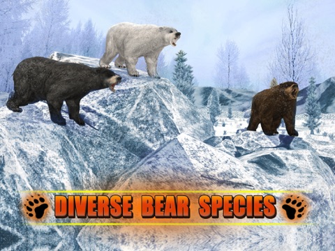Bear Revenge 3D iPad screenshot