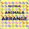 Pictrue Animals Arrange