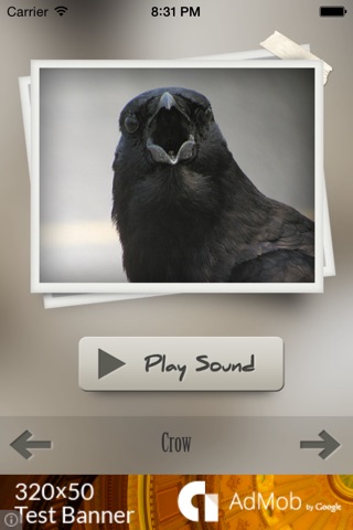 Bird Sounds Ultra screenshot 2