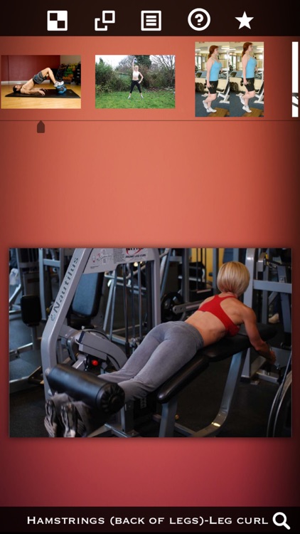 Body Building Exercises screenshot-4