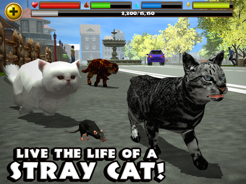 Stray Cat Simulator на iPad