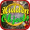 Hidden Objects 100 levels combo is a game for all hidden friends