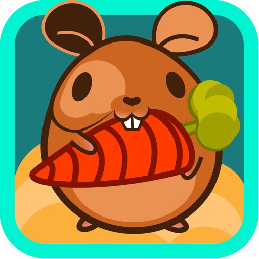 Best Mr Hamster icon