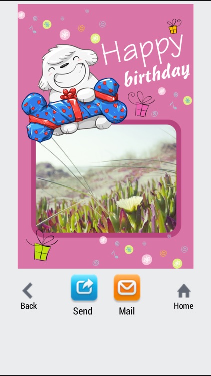 Greetings Card: Thông điệp yêu thương screenshot-4