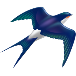 ‎ShareMate