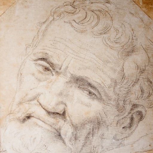 Michelangelo 133 Works HD 100M+  Ad-free