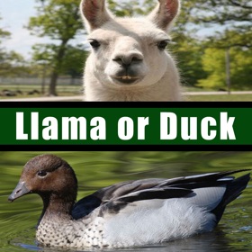 螢幕擷取畫面 (5) Llama or Duck