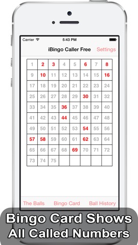 iBingo Caller Free - Play Bingo at Home with Friends!のおすすめ画像4