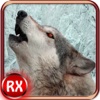 Wolf Attack Simulator - Revenge of Wild Rampage Beast & Hunting Adventure