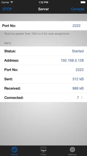 Скриншот TCP Console на iPhone 1