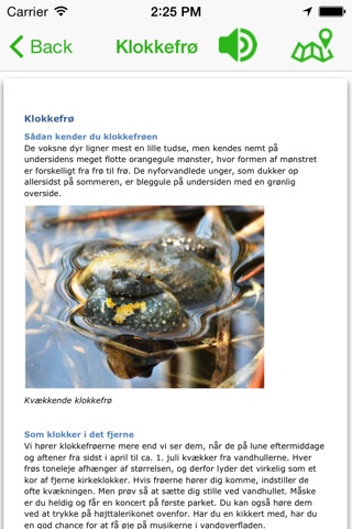 Klokkefrø screenshot 2