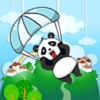 Panda Bungee Run