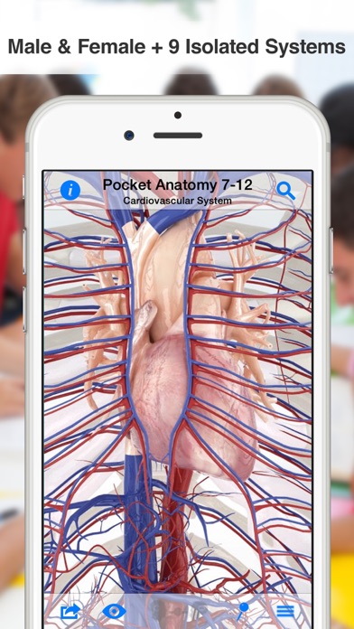 Screenshot #3 pour High School Anatomy