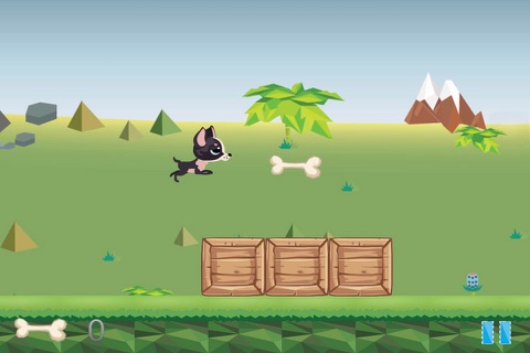 The Furious Sparky the Chihuahua in a Little Wild Jungle Pro screenshot 4