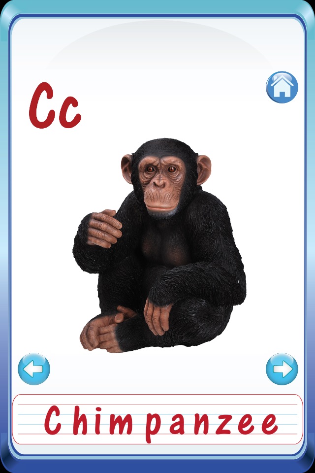 Baby Animals & Birds English ABC Alphabets Flash Cards for preschool kindergarten boys & girls apps screenshot 4