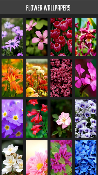 Screenshot #1 pour Flower Wallpaper