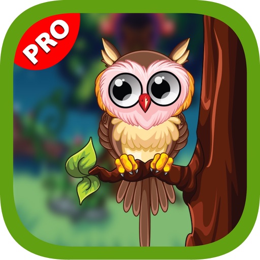 Cute Owl - Decorate Your Owl icon