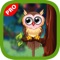 Cute Owl - Decorate Your Owl