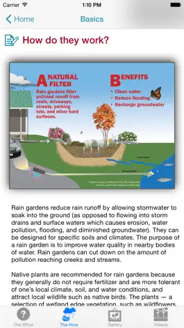 Game screenshot Rain Garden apk
