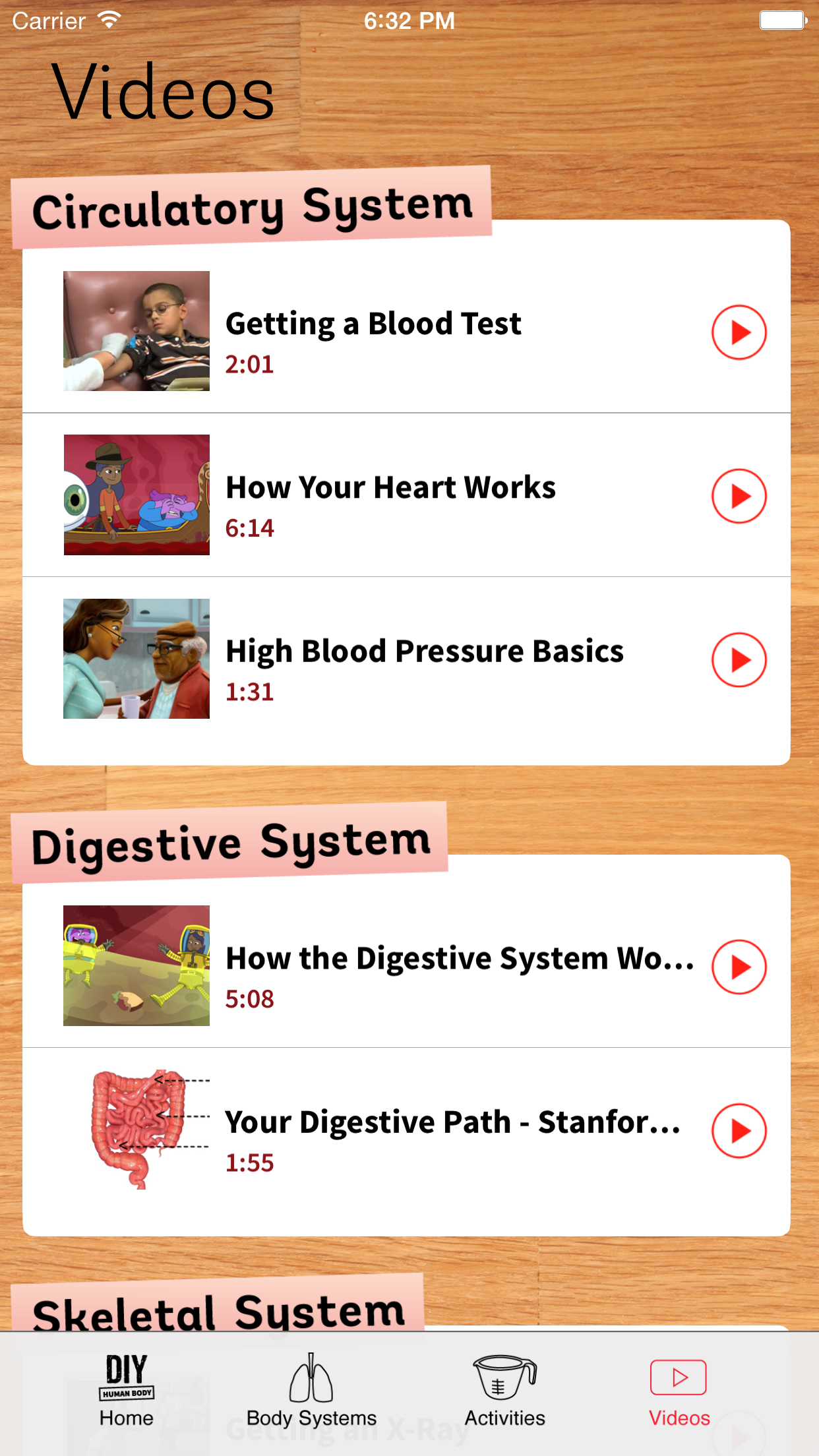 DIY Human Body