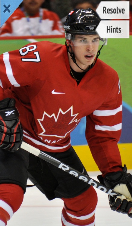 Word Pic Quiz Pro Hockey - name the most famous players in the league from around the world