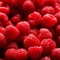 FoodXclude is an easy-to-use barcode scanner that quickly tells you if a pre-packaged food has allergic ingredients