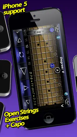 Game screenshot Economy Picking Guitar School FREE hack