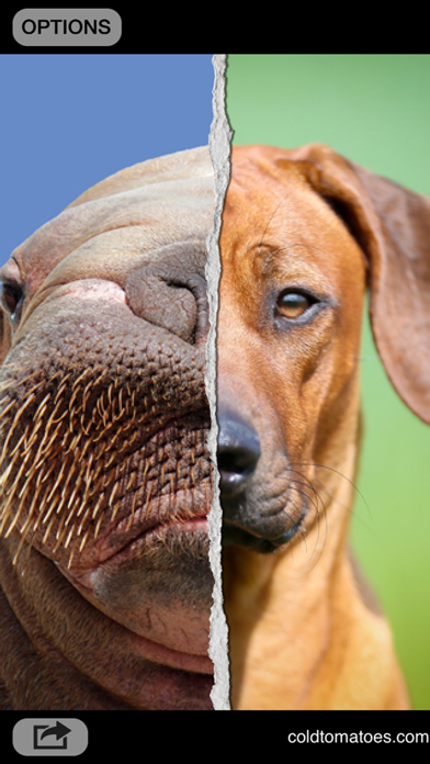 Screenshot #3 pour Mixhead