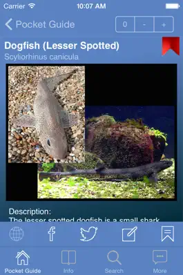 Game screenshot Pocket Guide UK Sea Fishing Lite mod apk