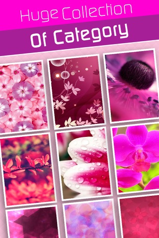 Dynamic Live Pink Wallpapers & Backgrounds HD PRO for Live Photos & Lock Screen Themes screenshot 3